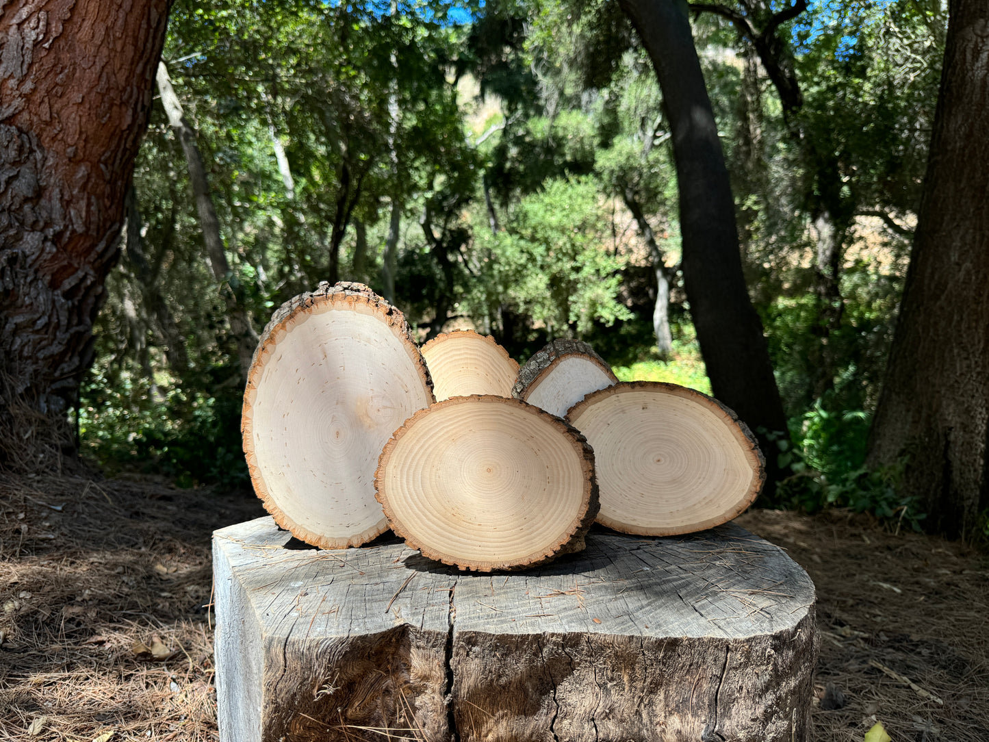 Wood Rounds