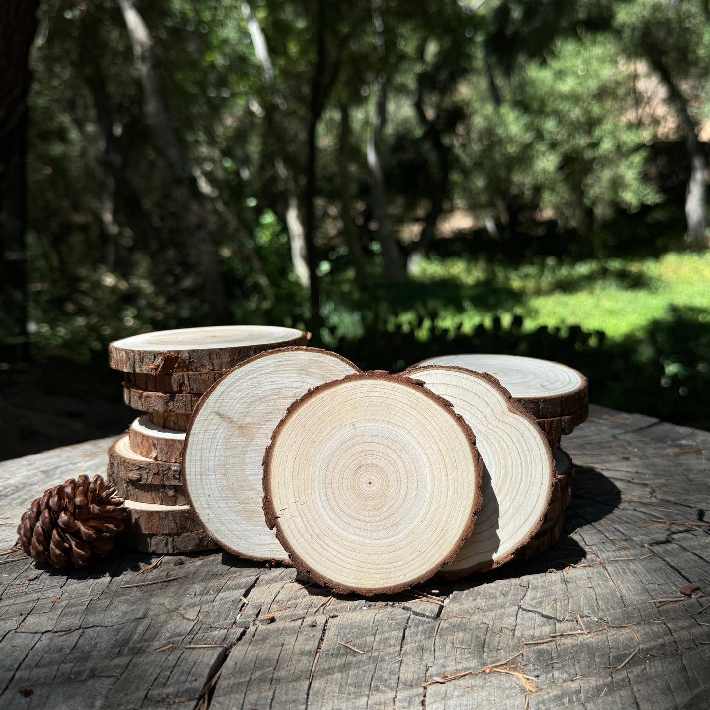 Mini Wood Rounds